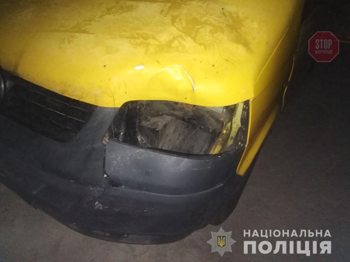 Збив дитину на смерть та втік: на Чернігівщині поліція затримала водія (фото)