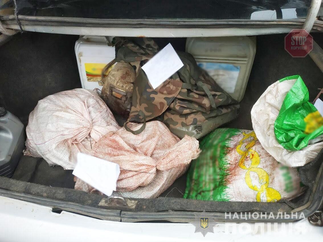 Браконьєри на Чернігівщині: поліція знайшла осіб, які вбили червонокнижних тварин (фото)