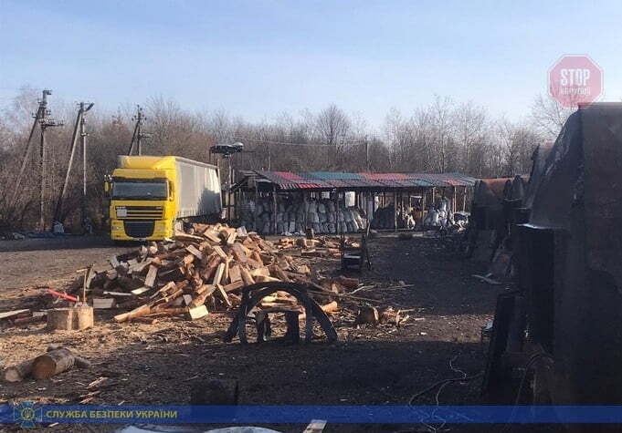 На Житомирщині викрито розкрадання та нелегальний експорт деревини (фото)