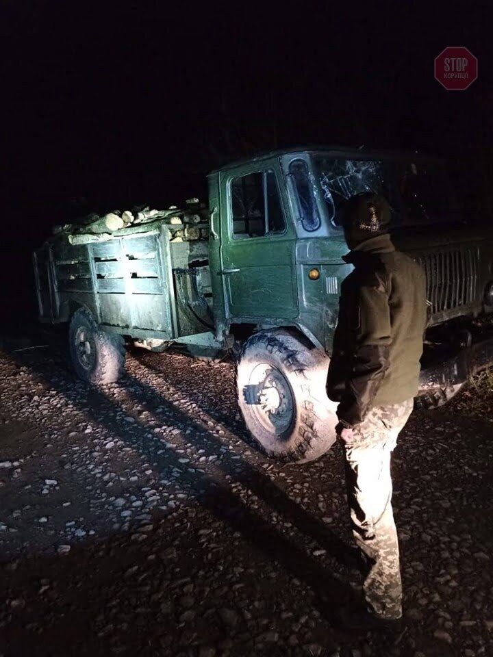 На Закарпатті прикордонники затримали “чорних лісорубів” з вирубаною деревиною (фото)