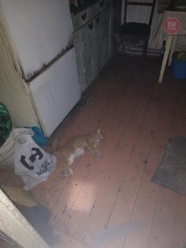 На Рівненщині під час пожежі загинув пенсіонер (фото)