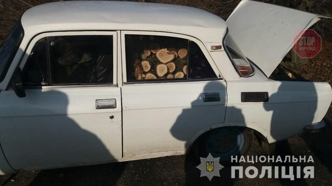 На Дніпропетровщині правоохоронці затримали чоловіка, який займався незаконною вирубкою дерев (фото)