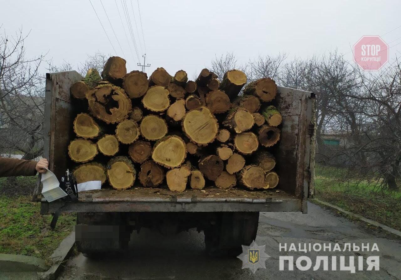 На Дніпропетровщині поліція затримала автомобіль з незаконною деревиною (фото)