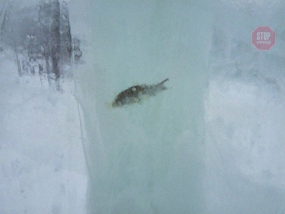 У Росії побудували льодове містечко з вмерзлою рибою всередині (фото)
