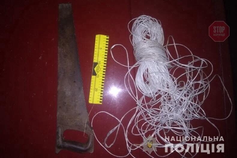 Сезон “чорних лісорубів”: на Луганщині виявили незаконний видобуток деревини&nbsp;(фото)