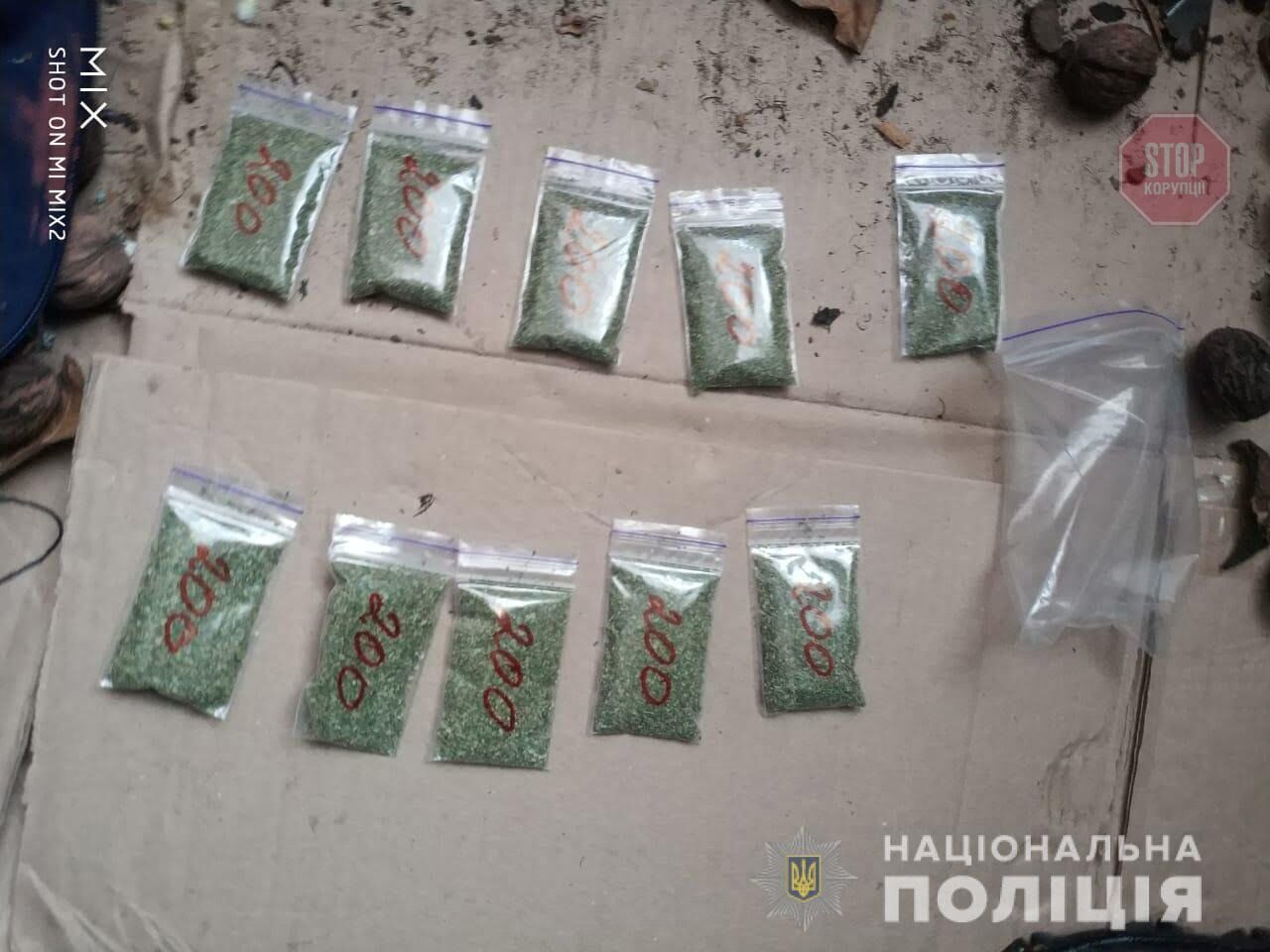 На Дніпропетровщині правоохоронці затримали збувачів марихуани та метамфетаміну (фото, відео)
