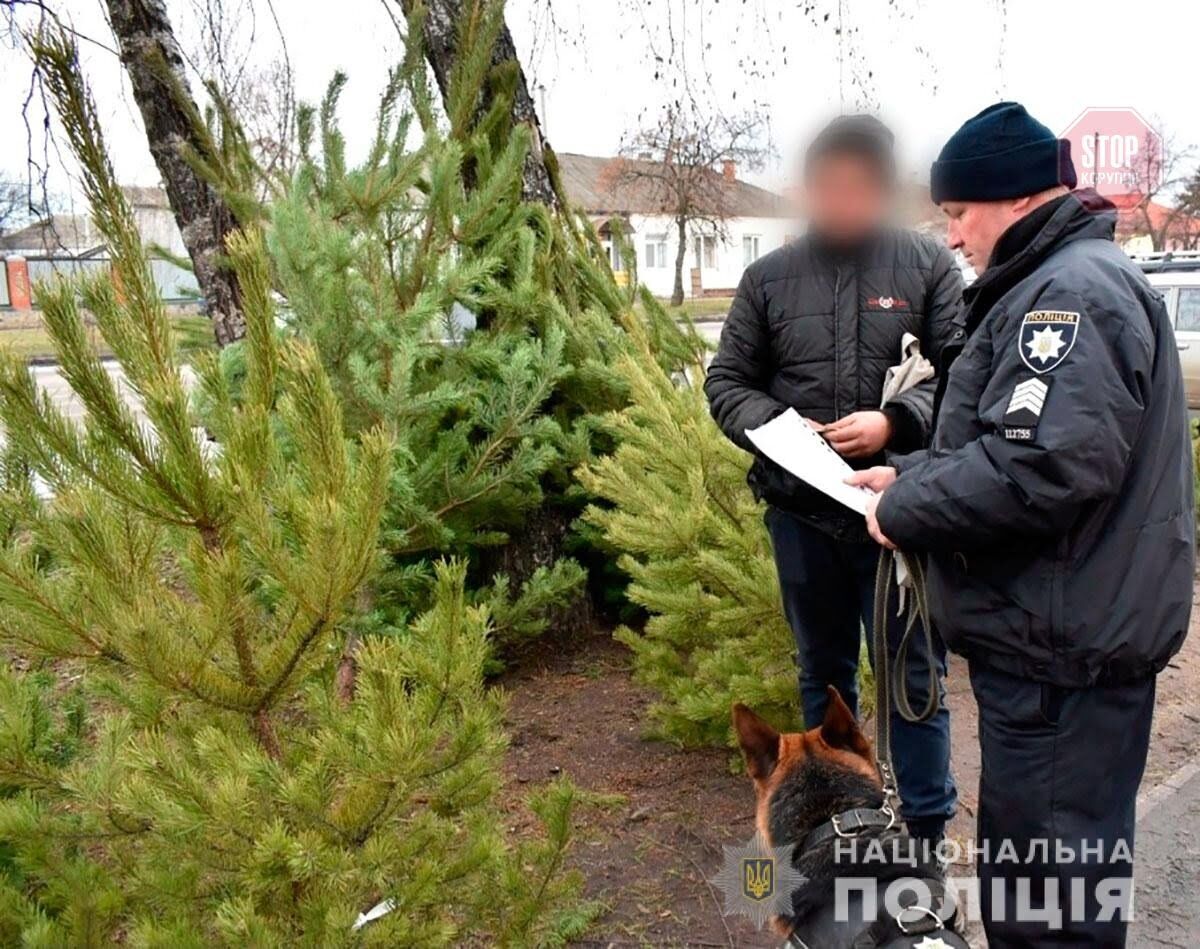 На Полтавщині триває сезон «ялинкових» рейдів – поліція перевіряє стихійні ринки