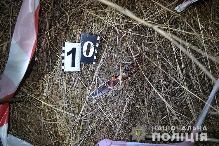 40 ножових поранень: на Тернопільщині ревнивий чоловік порізав себе і дружину