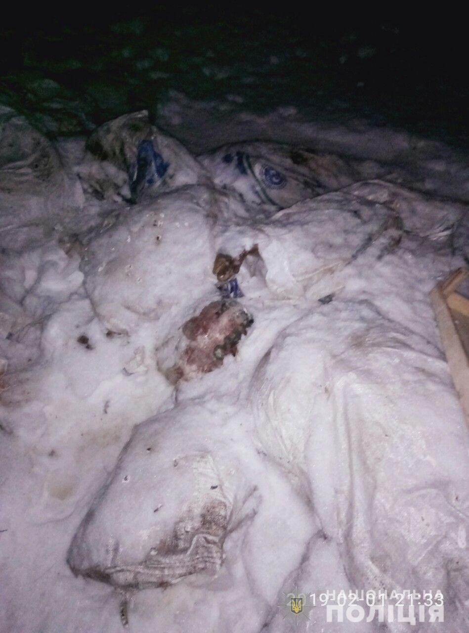 У Харкові виявили ціле кладовище мертвих тварин інфікованих екзотичним вірусом (ФОТО)