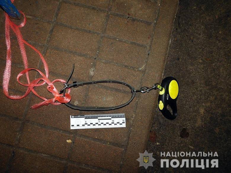 У Києві бійцівський пес за командою власника покусав відвідувача супермаркета (ФОТО)
