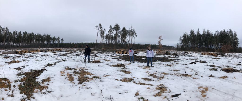 Ліс рубають – друзки летять: під Києвом викрили незаконний склад деревини
