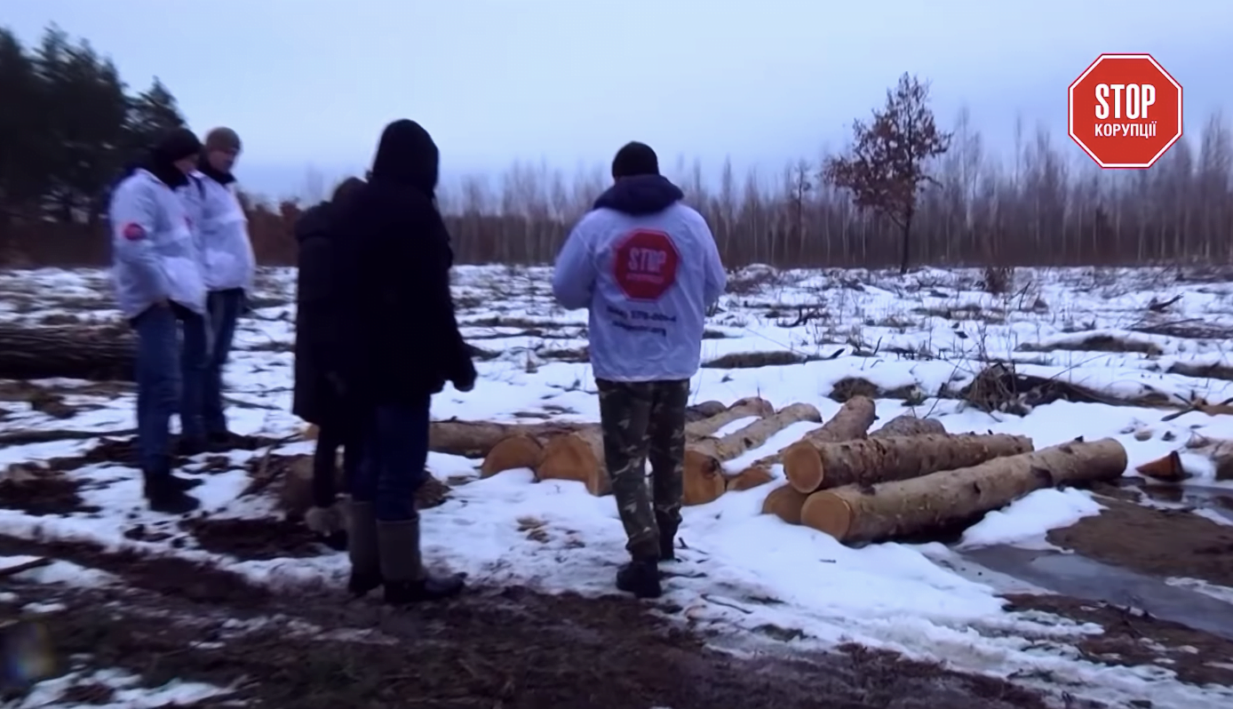 Завдяки розслідуванню «СтопКору» лісовою корупцією на Київщині зацікавився прокурор області