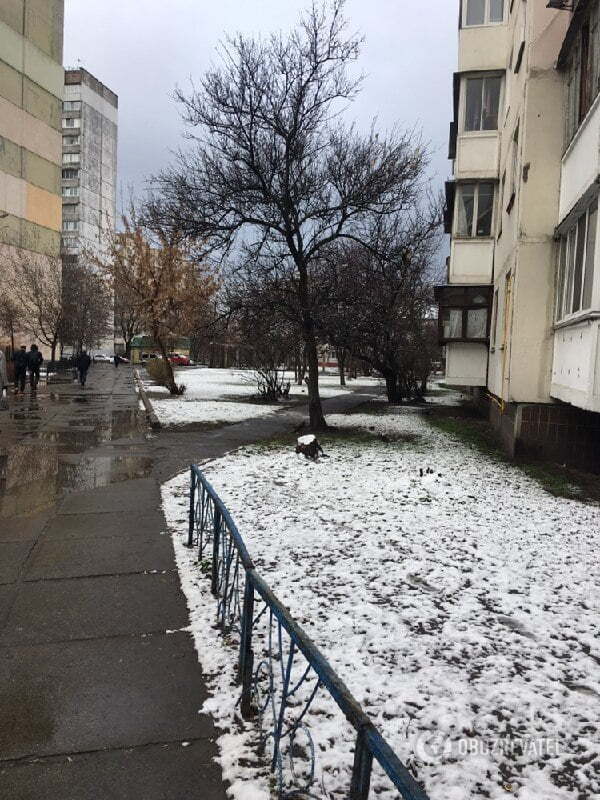 Сніг замітає Україну – люди шоковані погодою: кадри