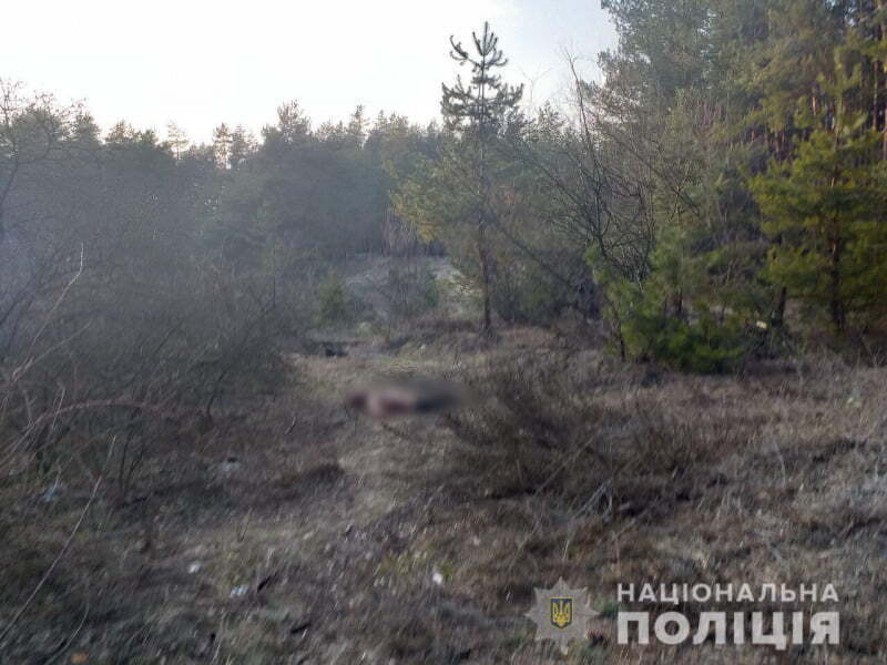 Вбивство військовослужбовця на Харківщині: злочинцями виявилась група підлітків