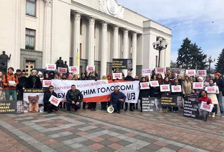 ''Ми за вбивство тварин чи проти?'' – активісти ''Стоп корупції'' поговорили з міністром екології про норкові ферми