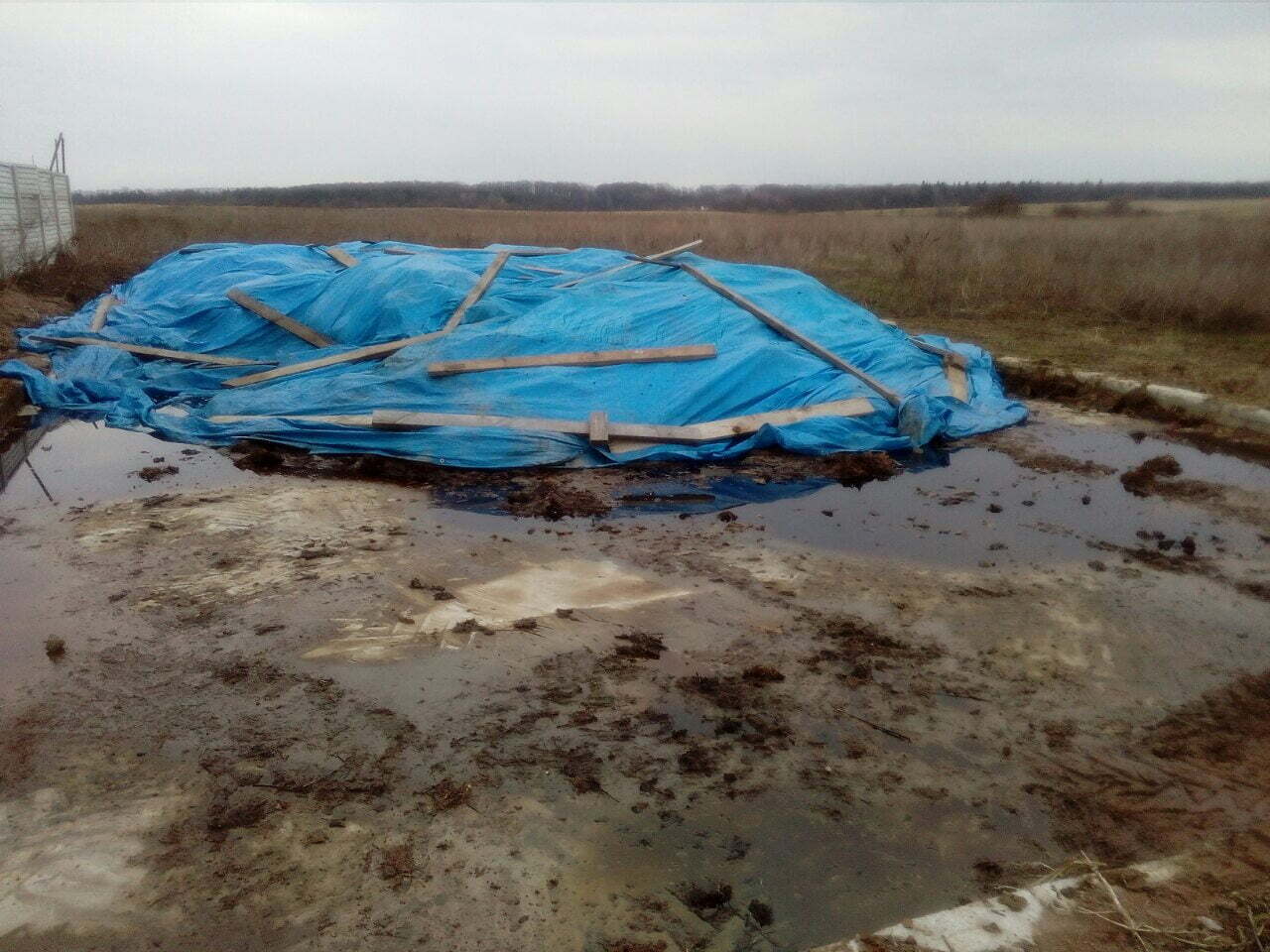 ''Ми за вбивство тварин чи проти?'' – активісти ''Стоп корупції'' поговорили з міністром екології про норкові ферми