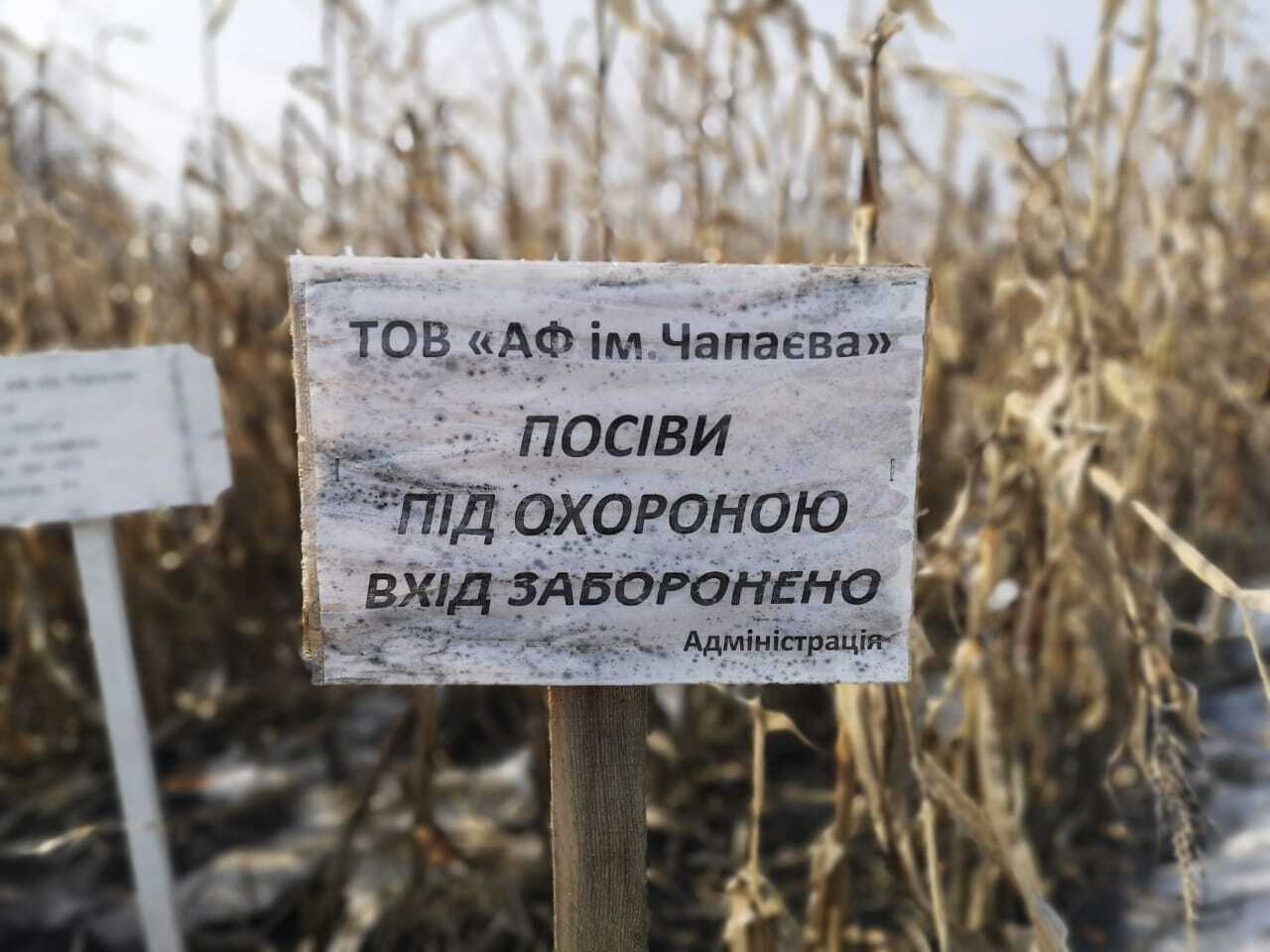 Антикорупційний менеджмент чи рейдерський конвеєр – як АРМА розпоряджається чужими активами