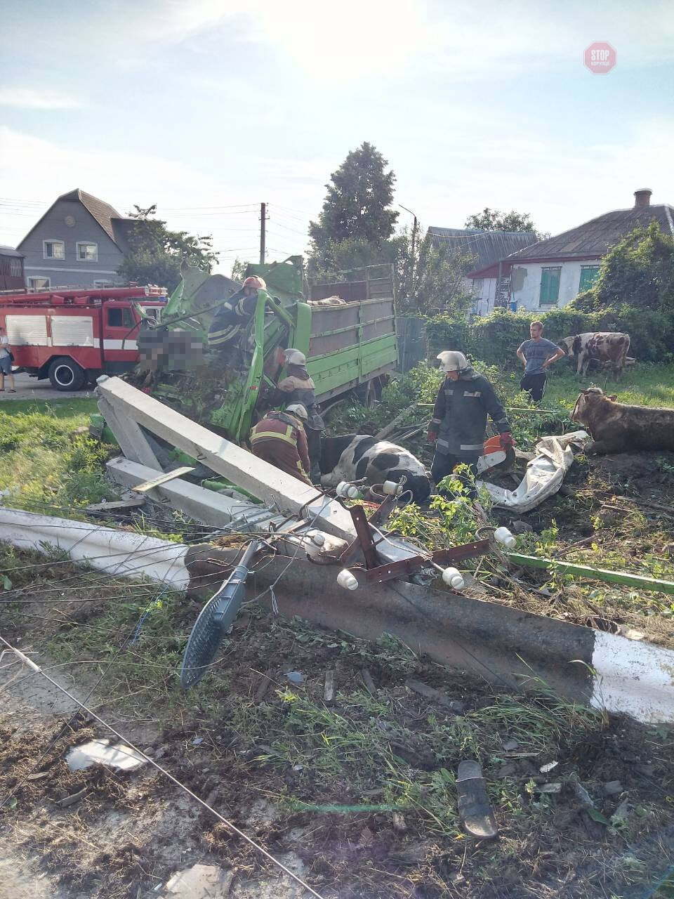 На Київщині вантажівка з худобою врізалась у стовп, є жертви (ФОТО)