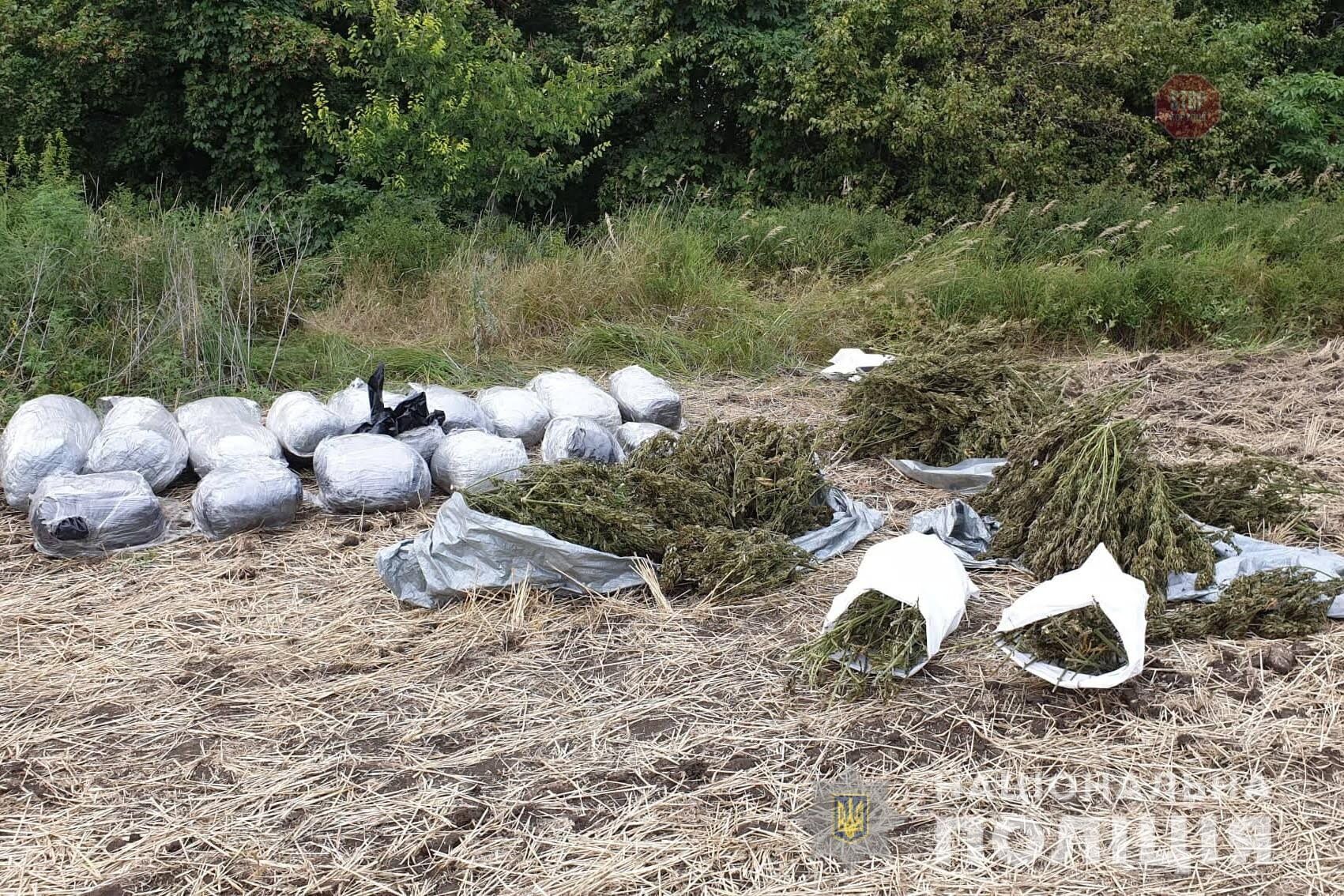 На Луганщині правоохоронці вилучили 150 кілограмів марихуани (ФОТО)