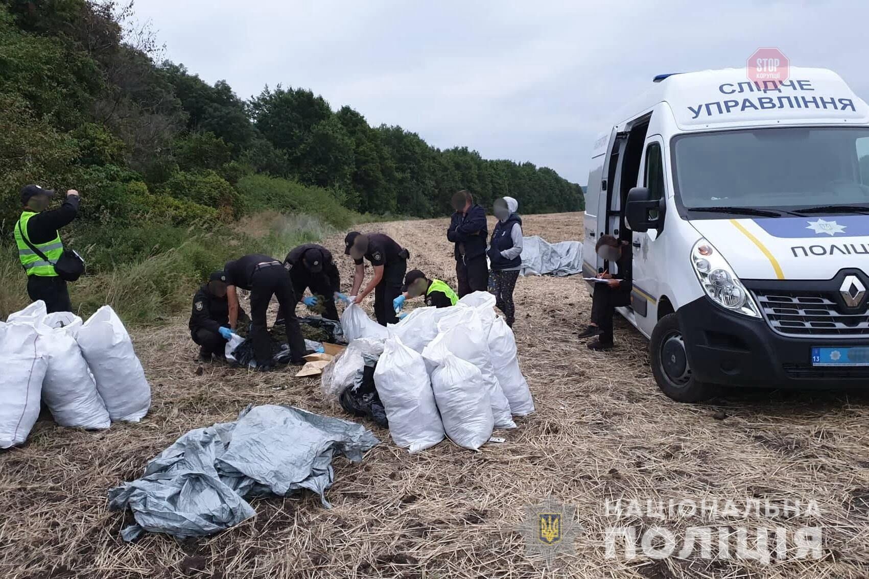 На Луганщині правоохоронці вилучили 150 кілограмів марихуани (ФОТО)