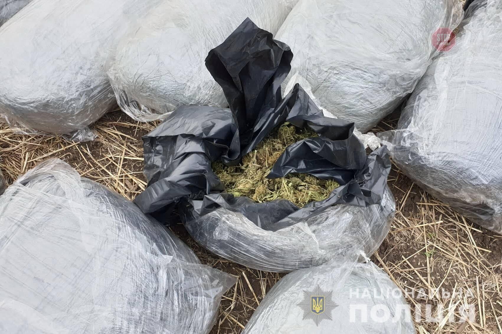 На Луганщині правоохоронці вилучили 150 кілограмів марихуани (ФОТО)