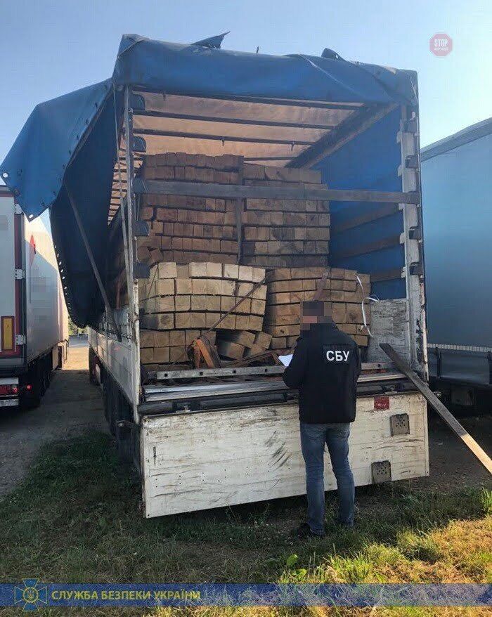 На Закарпатті діяла схема контрабандного вивезення лісопродукції за кордон (фото)
