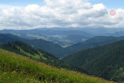 У Карпатському готелі отруїлися 13 дітей з Києва