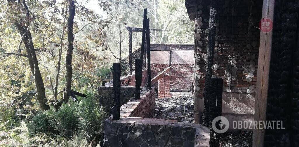 Підпал будинку Гонтаревої: на камери спостереження потрапила цікава деталь (фото, відео)