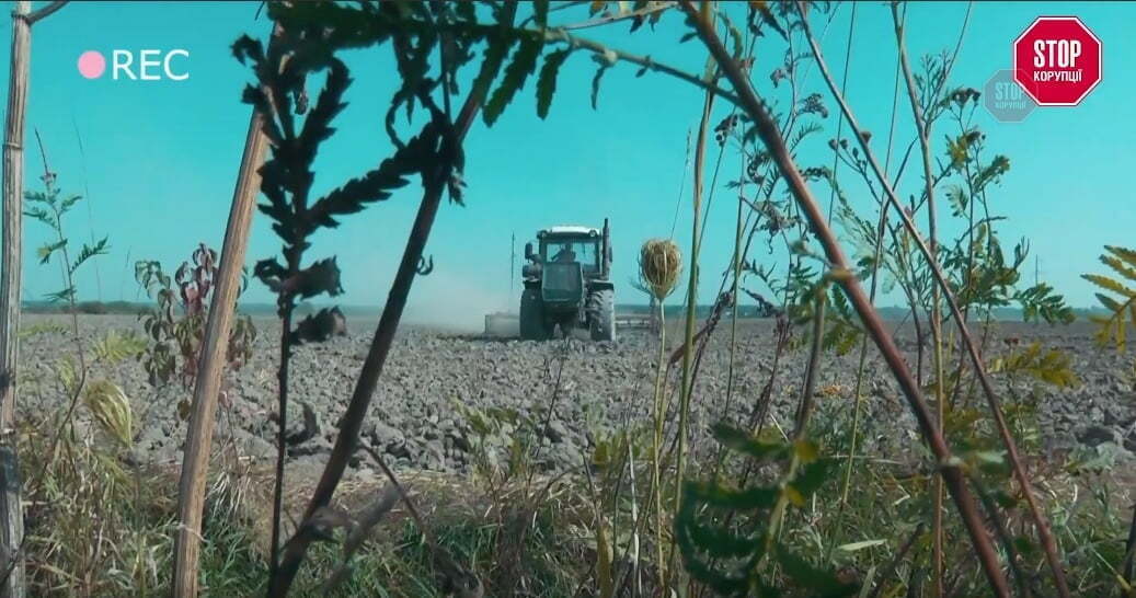 Загарбники вже повним ходом обробляють ''віджаті'' ділянки