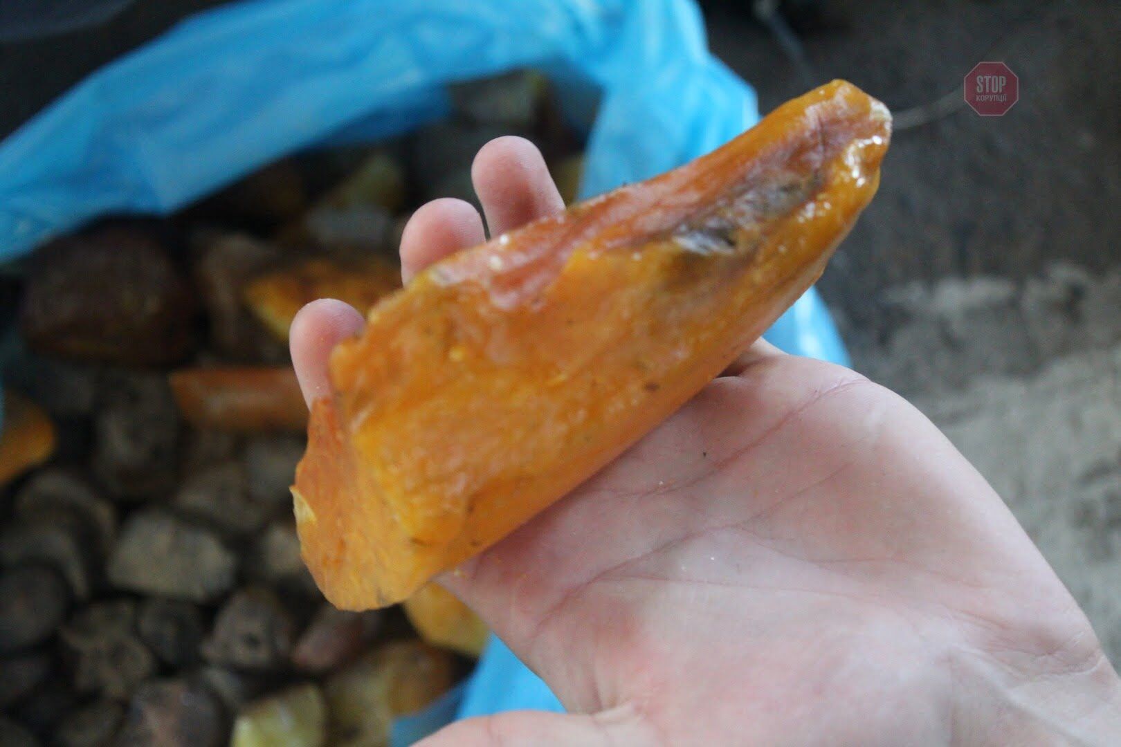 На Львівщині прикордонники вилучили 28 кг бурштину, захованого в автомобілях (фото, відео)