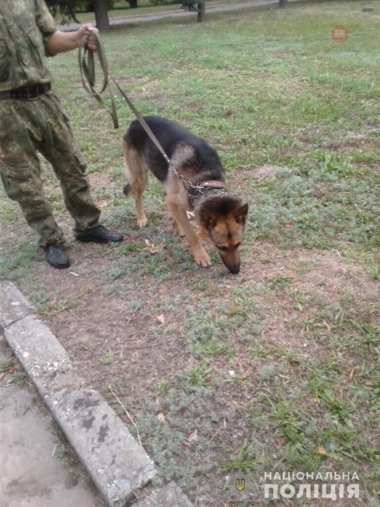 На Дніпропетровщині зниклу 4-річну дитину відшукав службовий собака (фото)
