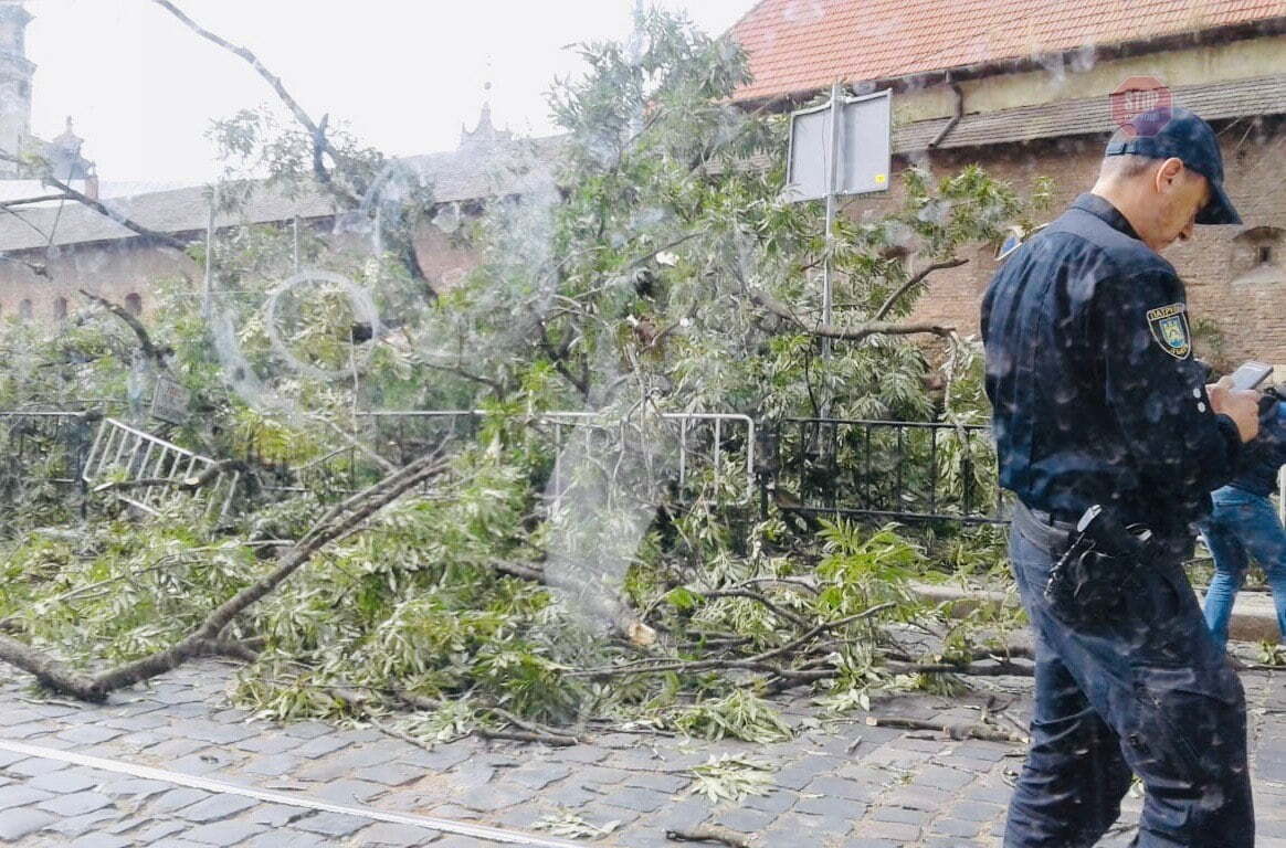  В цей же день у Львові впало дерево