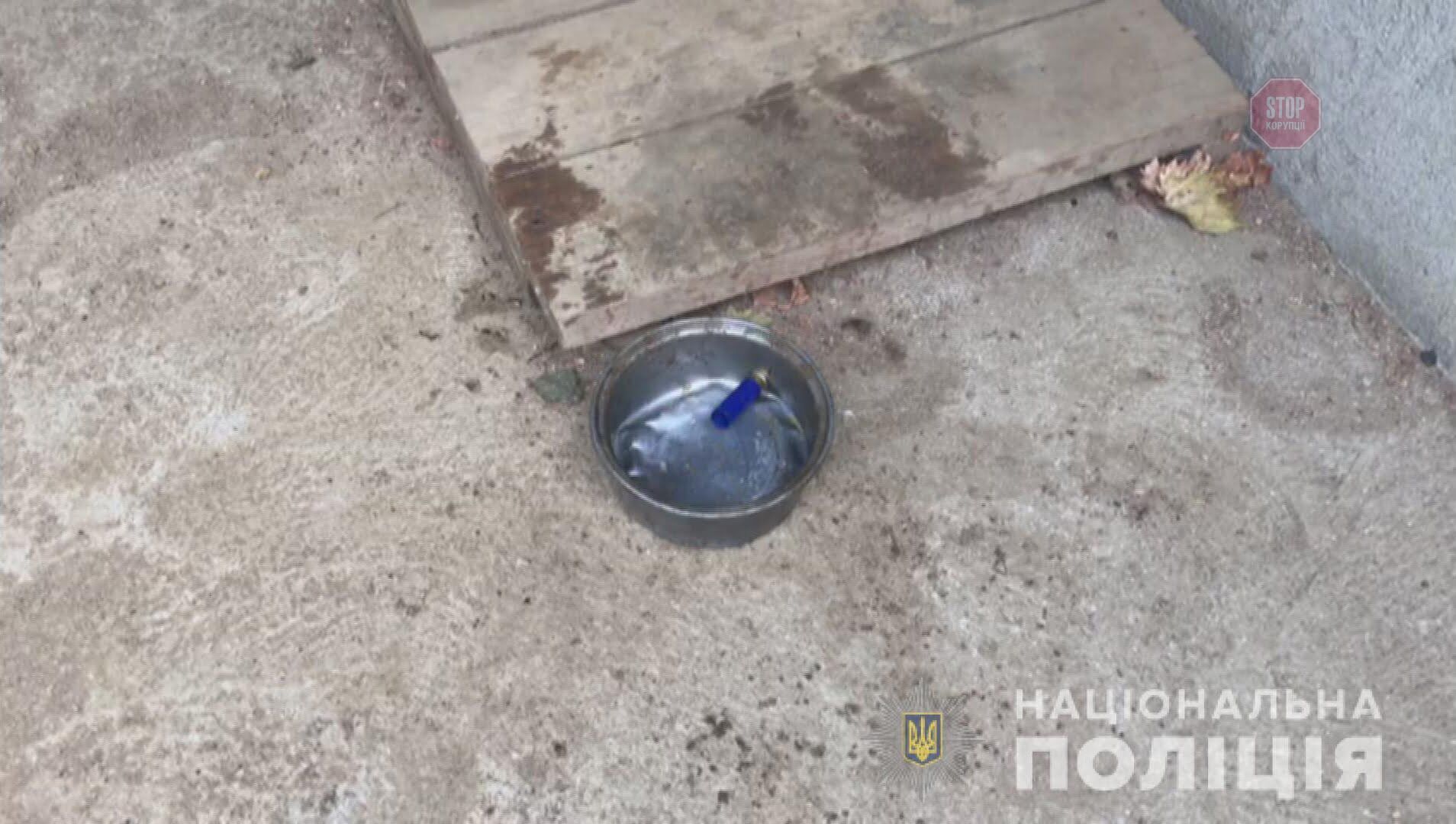 Вирішив похизуватися рушницею: на Одещині 12-річний хлопець вбив свого приятеля (фото, відео)