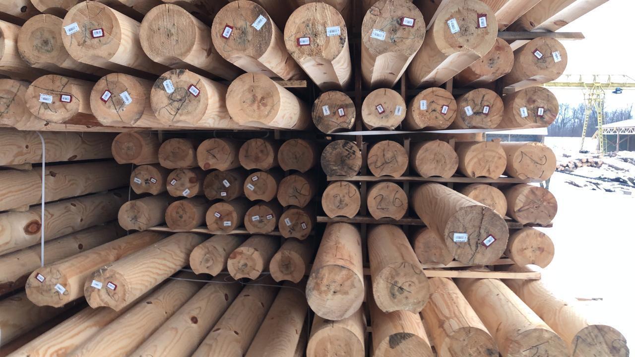 Прокуратура спільно з правоохоронцями під час обшуків вилучила майже 120 м куб лісу-кругляку на Житомирщині (ФОТО)