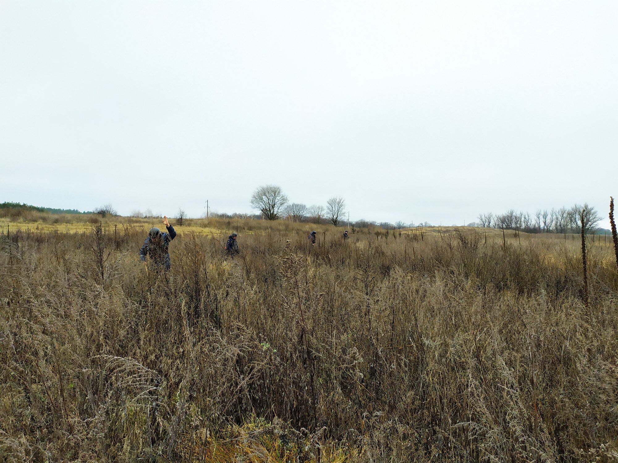 Оперативна інформація щодо розмінування Луганської області