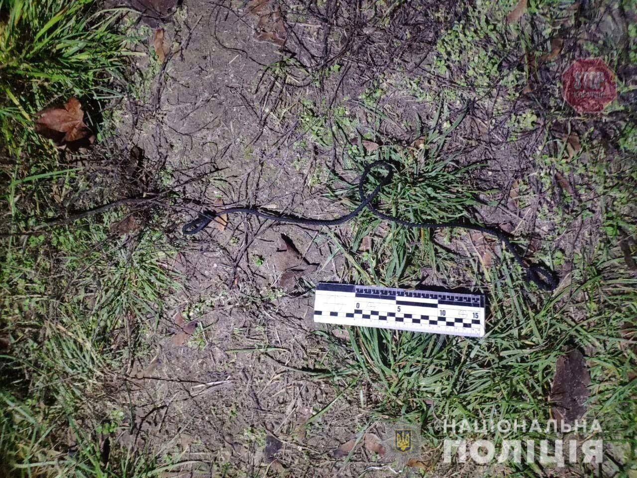 Шукала роботу, а знайшла ґвалтівника: на Дніпропетровщині мало не сталося вбивство (фото)