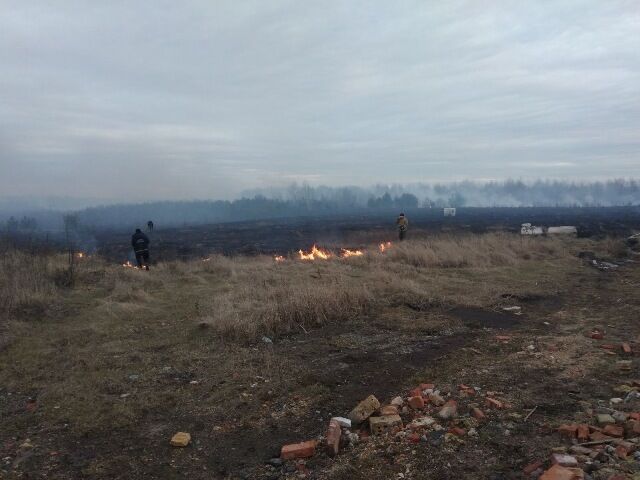 Житомирська область: за добу рятувальники ліквідували 9 загорянь на відкритій території