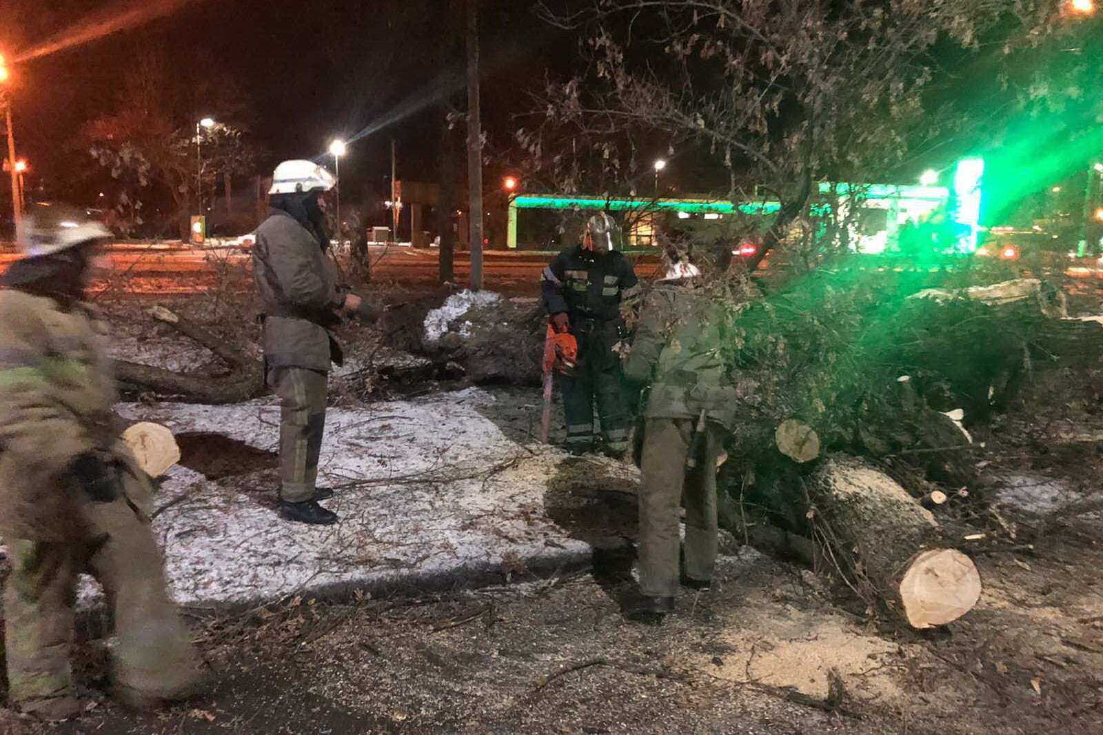 У Харкові рятувальники звільнили жінку, яку затиснуло поваленим деревом в автомобілі