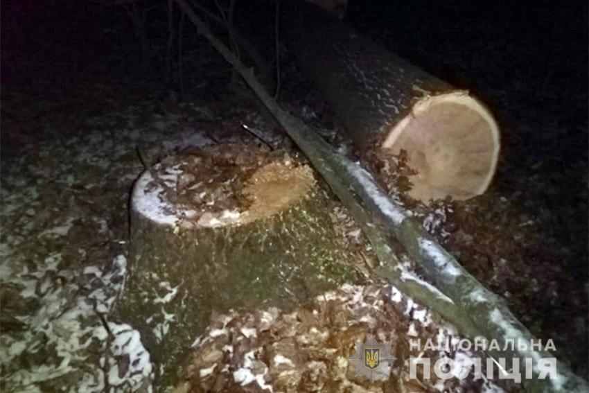 На Хмельниччині під час затримання «чорних» лісорубів травмували дільничного офіцера поліції