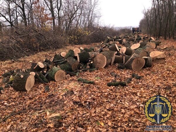 Прокуратура успішно вживає заходів для протидії незаконній вирубці лісу на Харківщині