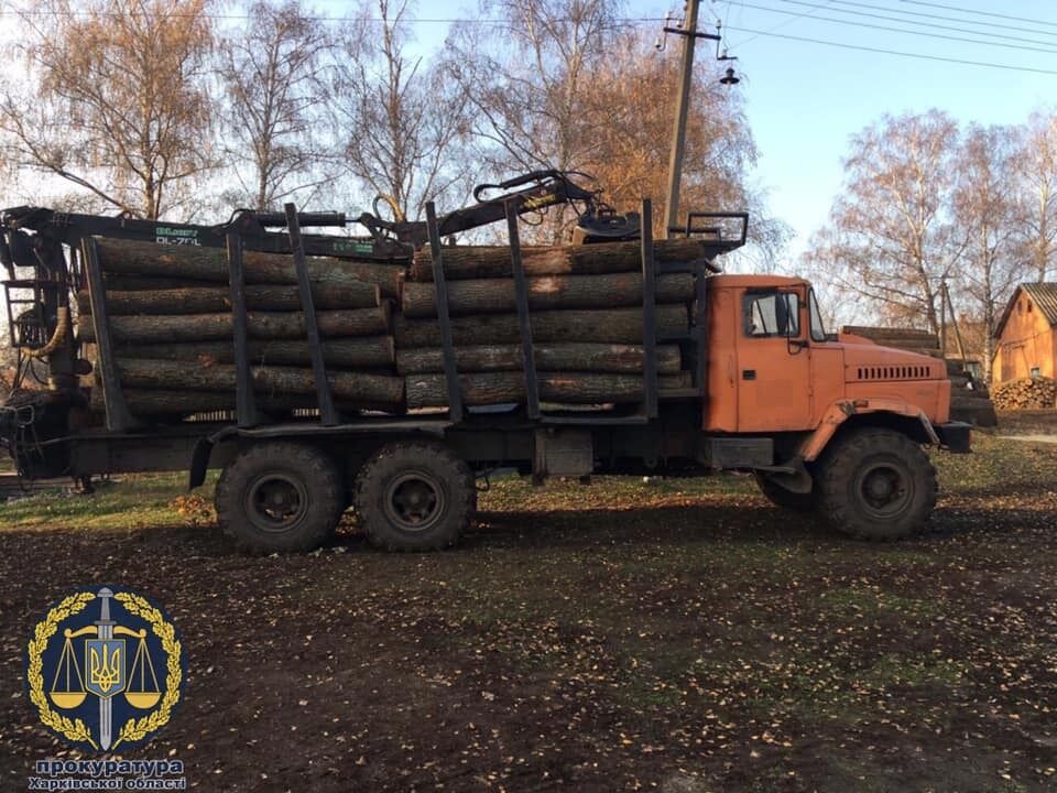 Прокуратура успішно вживає заходів для протидії незаконній вирубці лісу на Харківщині