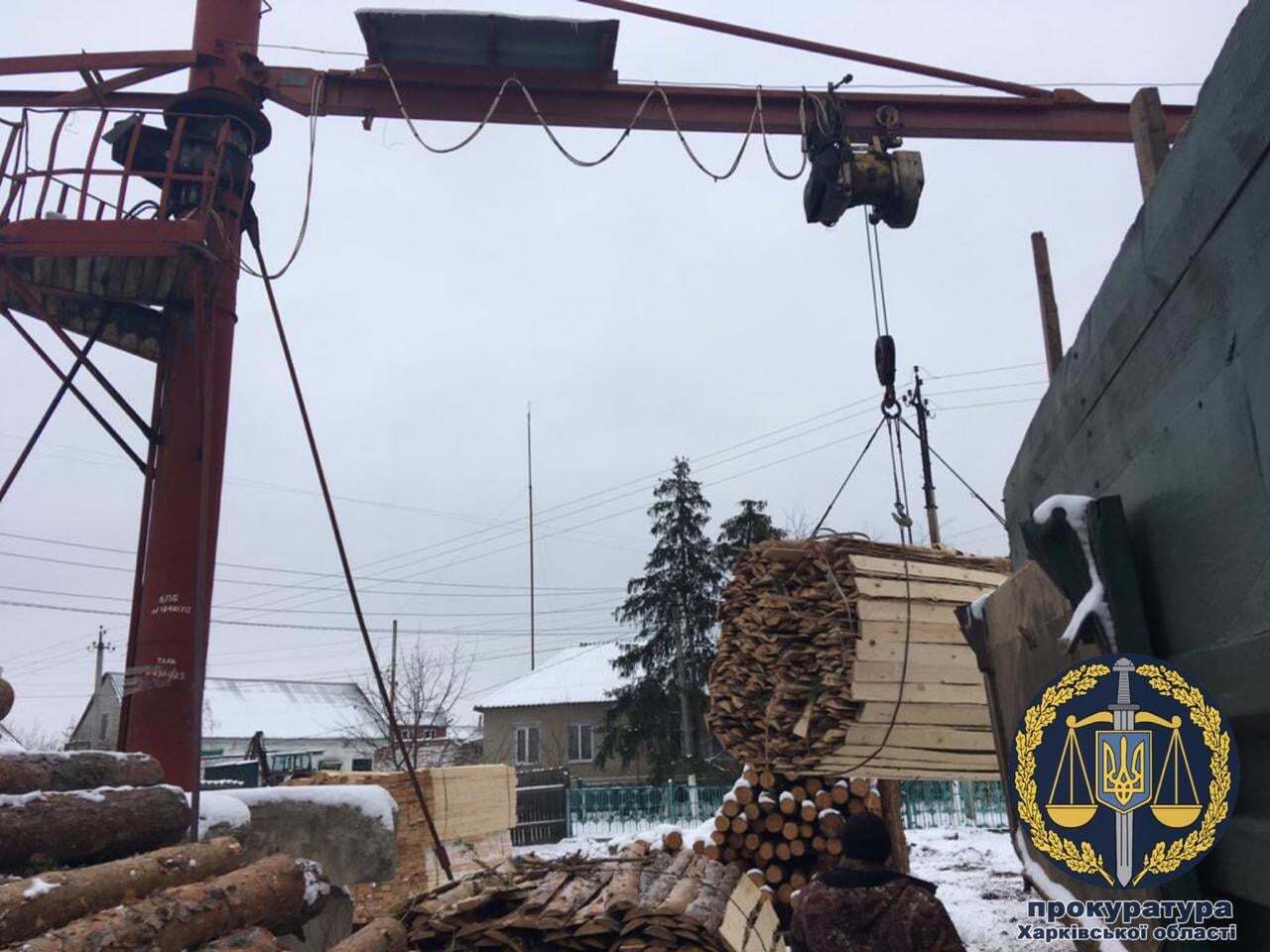 Прокуратура успішно вживає заходів для протидії незаконній вирубці лісу на Харківщині