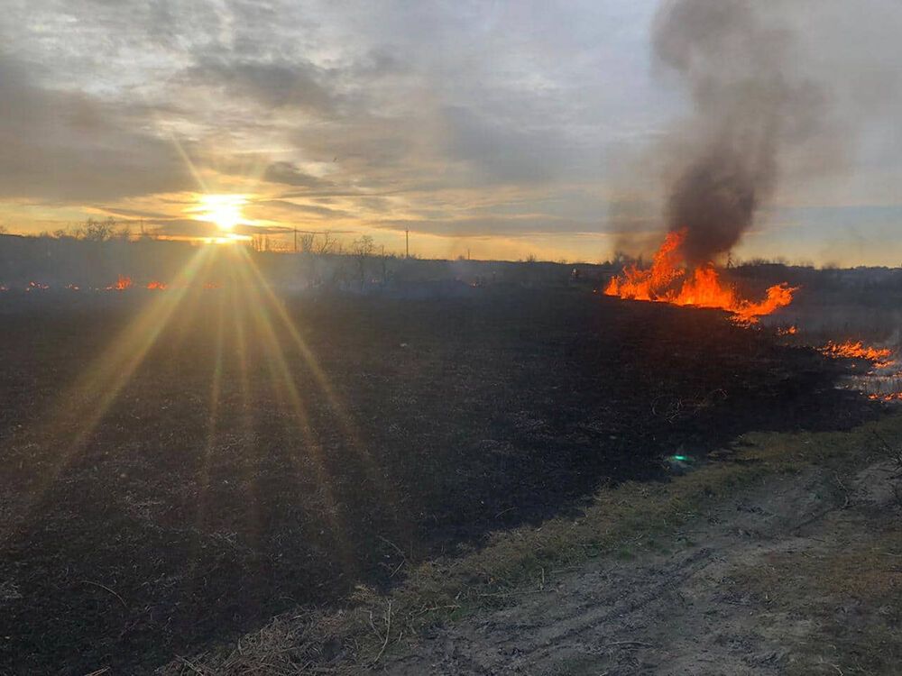 На Миколаївщині горить очерет! Рятувальники застерігають - навмисне спалювання сухої рослинності - це неправомірне (протиправне) суспільно-шкідливе діяння! (ВІДЕО)