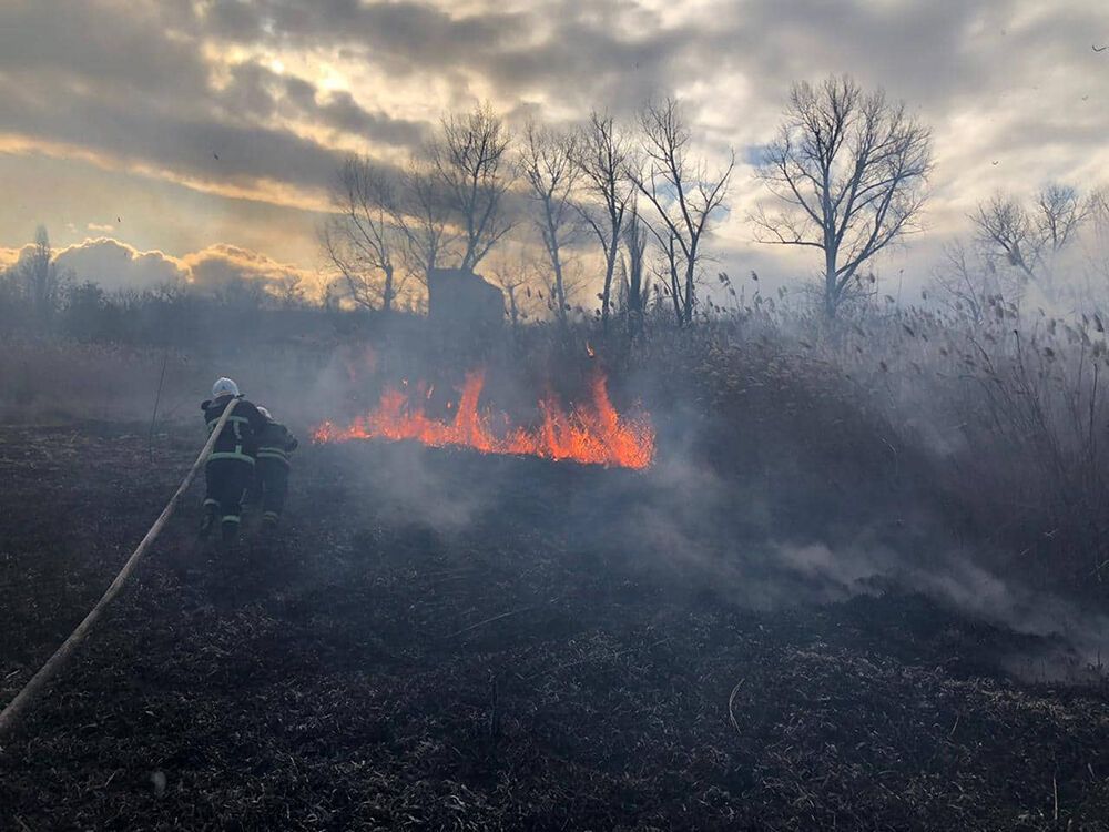 На Миколаївщині вогнеборці знову гасять пожежі очерету
