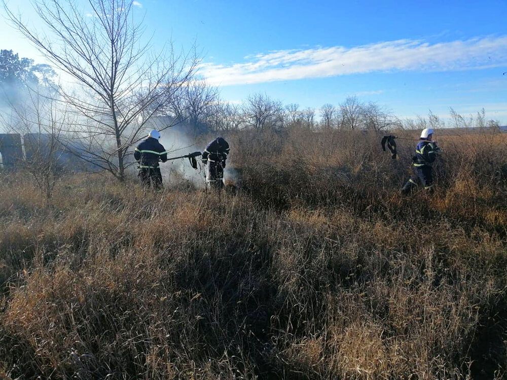 На Миколаївщині горить очерет! Рятувальники застерігають - навмисне спалювання сухої рослинності - це неправомірне (протиправне) суспільно-шкідливе діяння! (ВІДЕО)