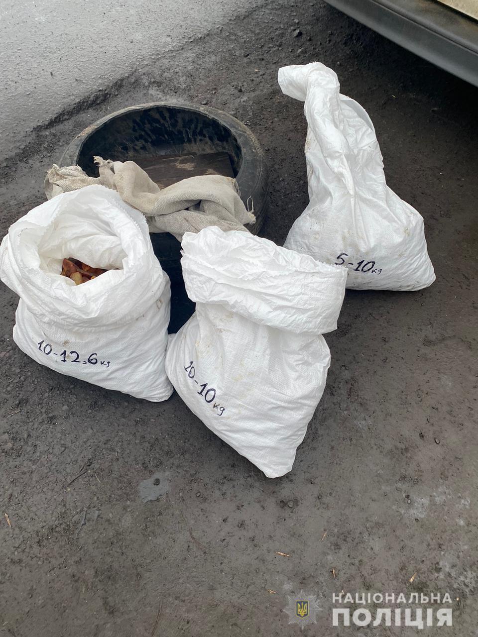 На Рівненщині поліцейські викрили голову сільради на незаконному перевезенні 30 кілограмів бурштину