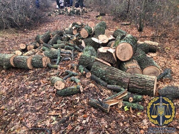 Прокуратура успішно вживає заходів для протидії незаконній вирубці лісу на Харківщині