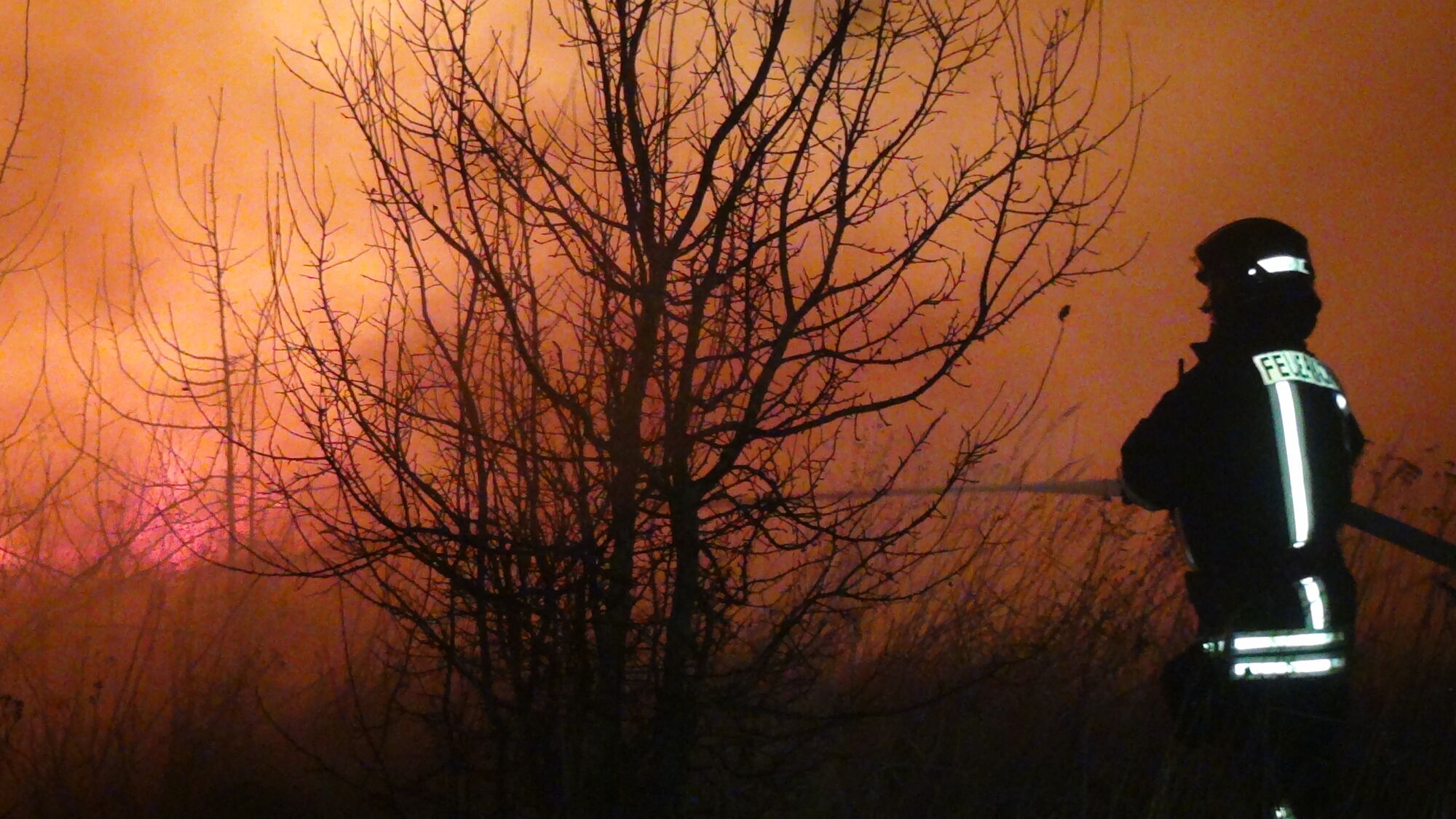 Івано-Франківська область: минулої доби на Прикарпатті ліквідовано 28 пожеж сухої трави та сміття