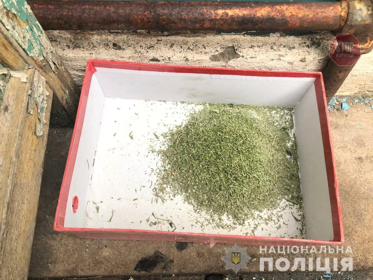 Майже півкілограма канабісу поліція знайшла у жителя Кривого Рогу (фото)