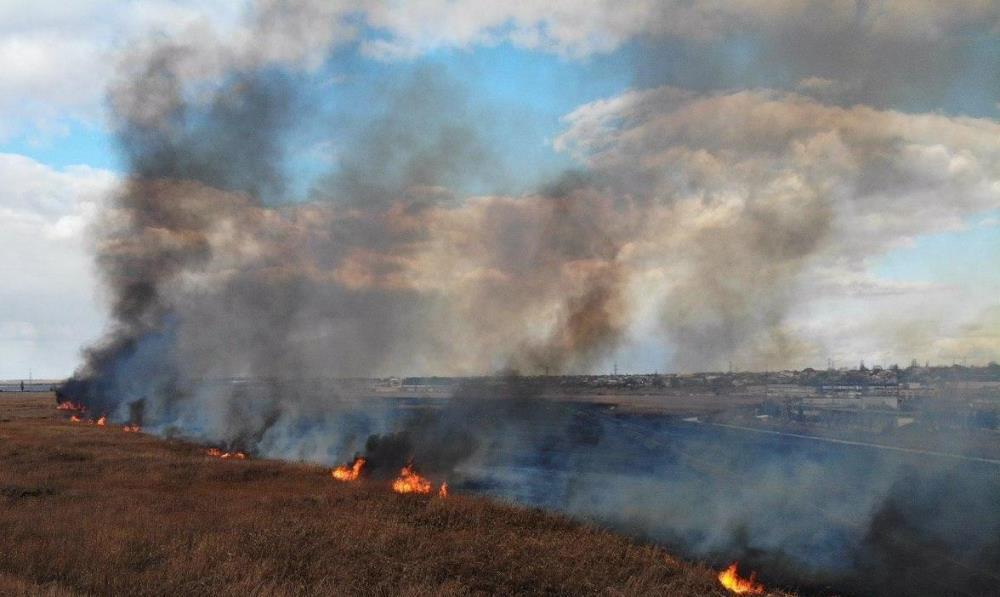 м. Одеса: рятувальники гасять загорання очерету на відкритій території
